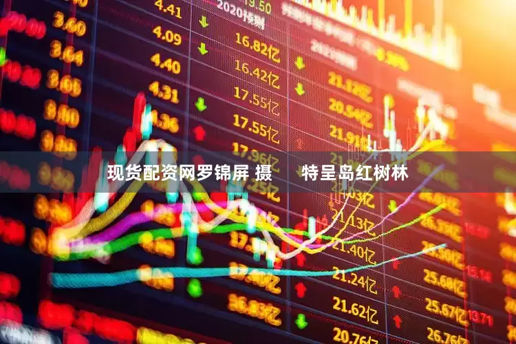 现货配资网罗锦屏 摄      特呈岛红树林