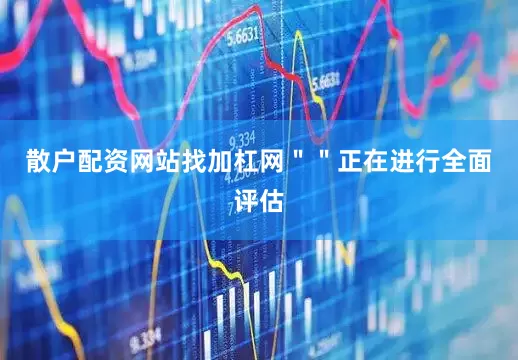 散户配资网站找加杠网" "正在进行全面评估