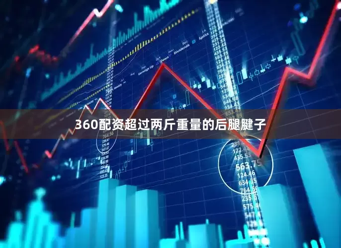 360配资超过两斤重量的后腿腱子