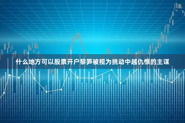 什么地方可以股票开户黎笋被视为挑动中越仇恨的主谋